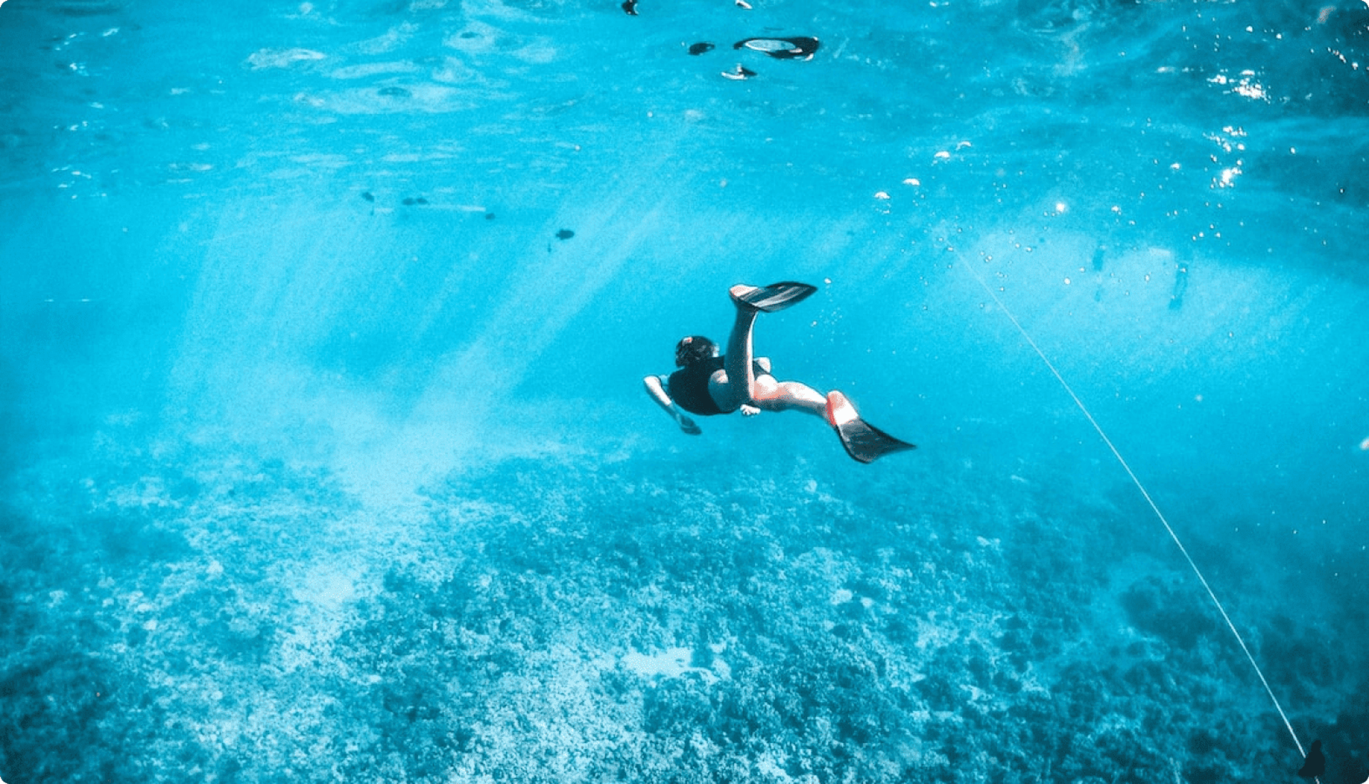 Découvrez la plongée sous-marine – Turquesa Diving